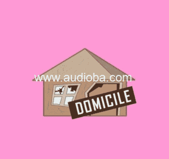 DiyMusicBiz Domicile Drum Pack [WAV]