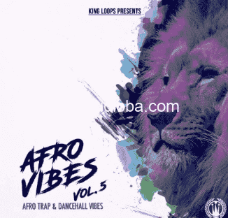 King Loops Afro Vibes Volume 5 [WAV, MiDi]
