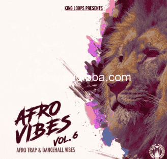 King Loops Afro Vibes Volume 6 [WAV, MiDi]