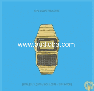 King Loops Calculate Volume 2 [WAV, MiDi]