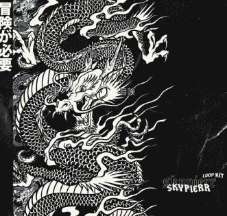 Skypierr Loop Kit [WAV]