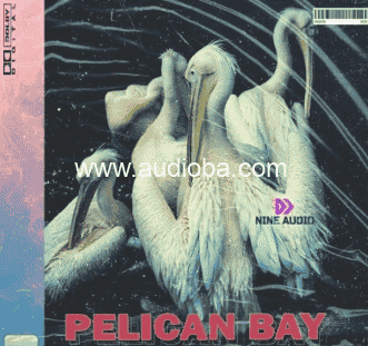 Nine Audio Pelican Bay [WAV]