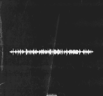 Chopsquad DJ Presents-The Voice (Drum Kit) [WAV]