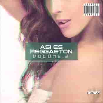 Kryptic Samples Asi Es Reggaeton Vol 1 WAV MiDi