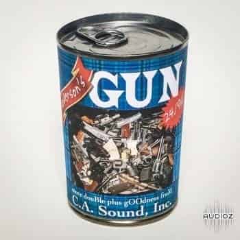 Casoundinc Guns Library WAV
