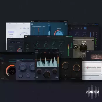 工业级混音全效套件 Black Salt Audio Everything Bundle 2026.05 [macOS]