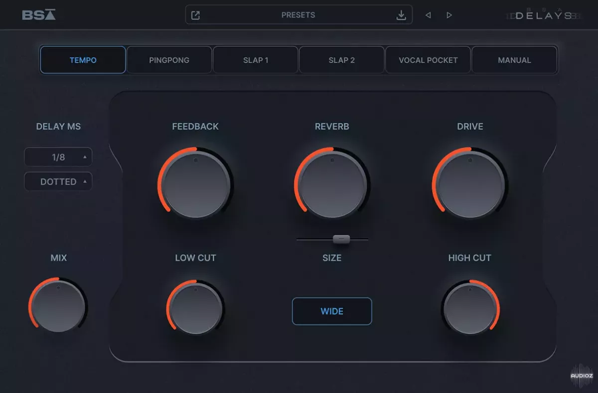 [极简创意延迟效果器] Black Salt Audio BSA Delays v1.1.1 WiN-R2R