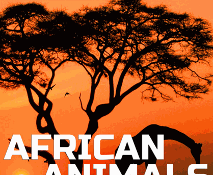 Animal Planet Soundscapes African Animals Ambience 非洲动物与自然环境氛围音效 [FLAC]