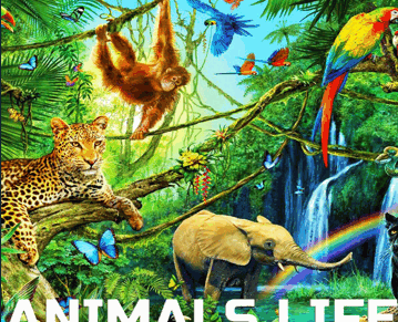 Cloud Nine Records Animals Life Sounds 野生动物与自然环境氛围音效素材 [FLAC]